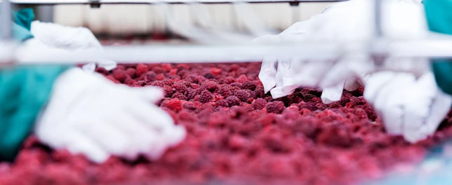 Food Contaminant Inspection